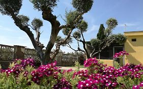 B&B Casa degli Ulivi